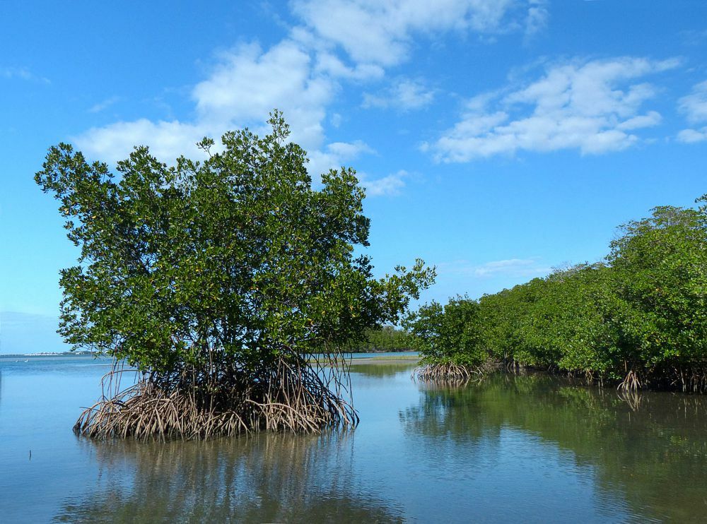 Click to See Next Image